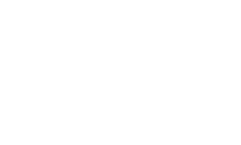 visoflex